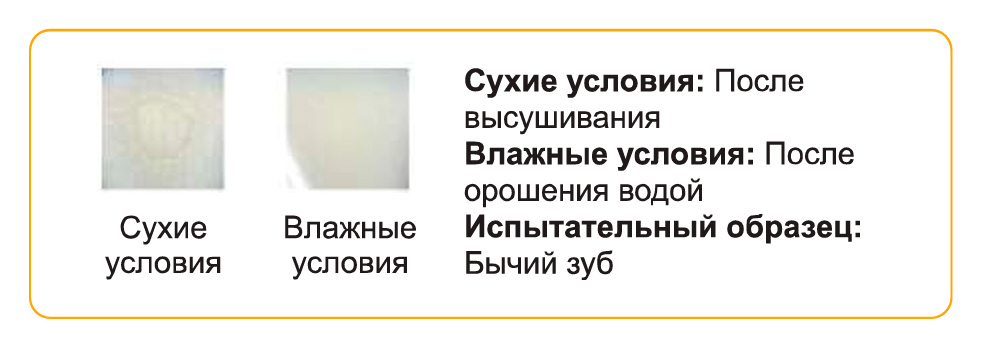 Ямакинбонд2